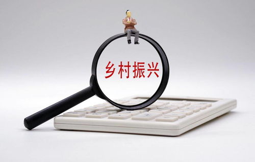 打通金融“最后一公里”，以多元服務(wù)賦能鄉(xiāng)村振興