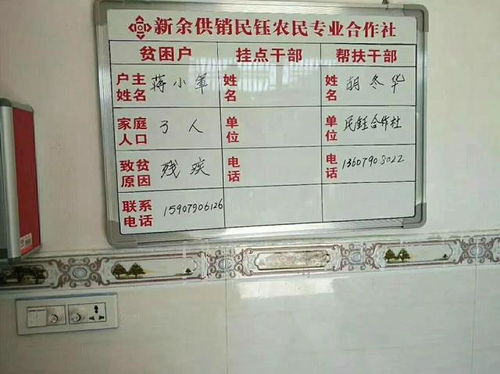 江西新余供銷系統 扶貧綜合服務站助力精準脫貧，日用品貿易銷售惠民生